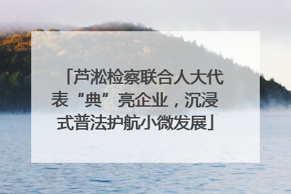 芦淞检察联合人大代表“典”亮企业，沉浸式普法护航小微发展