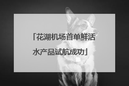 花湖机场首单鲜活水产品试航成功