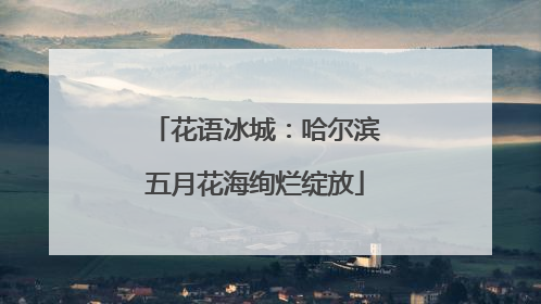花语冰城：哈尔滨五月花海绚烂绽放