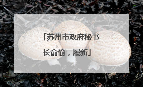 苏州市政府秘书长俞愉，履新