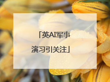 英AI军事演习引关注