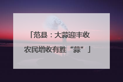 范县：大蒜迎丰收 农民增收有胜“蒜”