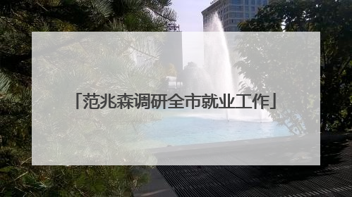 范兆森调研全市就业工作
