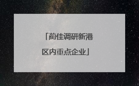 蔺佳调研新港区内重点企业