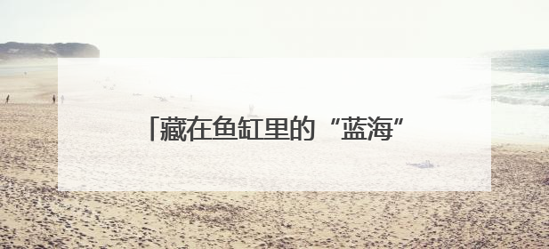 藏在鱼缸里的“蓝海”：拼多多“千亿扶持”加速激活西部水族大市场
