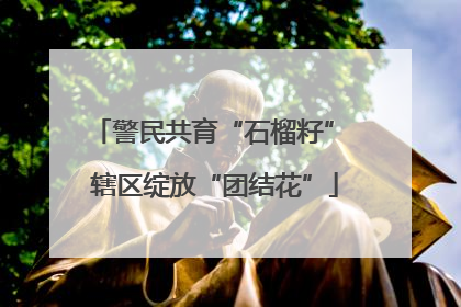 警民共育“石榴籽” 辖区绽放“团结花”