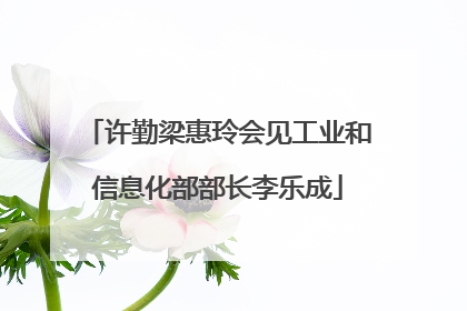 许勤梁惠玲会见工业和信息化部部长李乐成