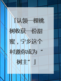 认领一棵桃树收获一份甜蜜，宁乡这个村邀你成为“树主”