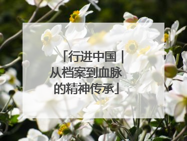 行进中国｜从档案到血脉的精神传承