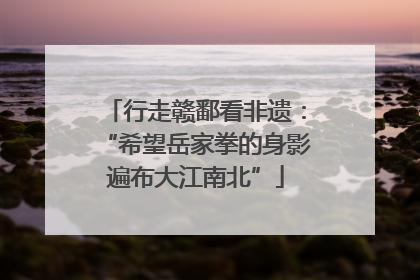 行走赣鄱看非遗：“希望岳家拳的身影遍布大江南北”