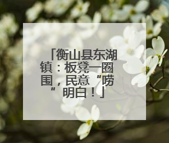 衡山县东湖镇：板凳一圈围，民意“唠”明白！