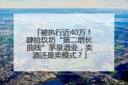被执行近40万！肆拾玖坊“第二增长曲线”茅泉酒业，卖酒还是卖模式？