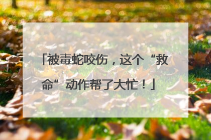 被毒蛇咬伤,这个“救命”动作帮了大忙!