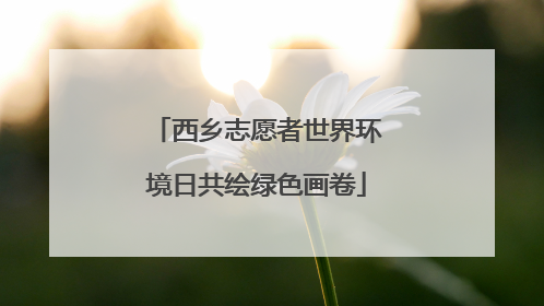 西乡志愿者世界环境日共绘绿色画卷