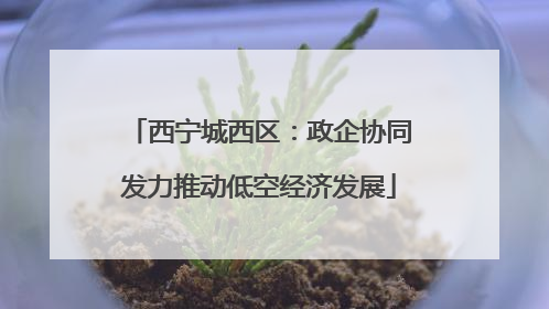 西宁城西区：政企协同发力推动低空经济发展