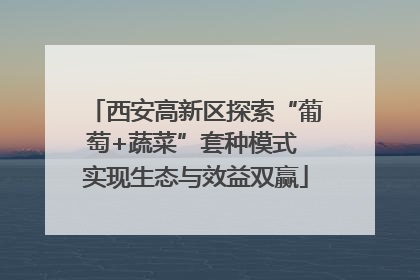 西安高新区探索“葡萄+蔬菜”套种模式 实现生态与效益双赢