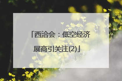 西洽会：低空经济展商引关注(2)