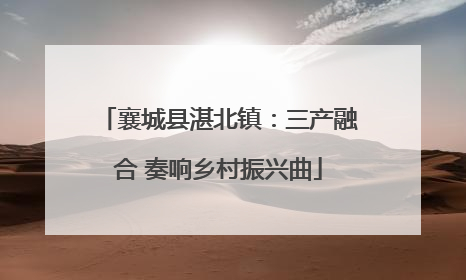 襄城县湛北镇：三产融合 奏响乡村振兴曲