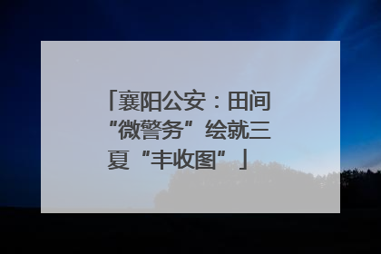 襄阳公安：田间“微警务”绘就三夏“丰收图”
