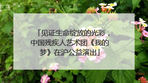 见证生命绽放的光彩，中国残疾人艺术团《我的梦》在沪公益演出