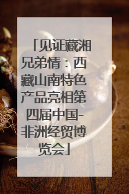 见证藏湘兄弟情：西藏山南特色产品亮相第四届中国-非洲经贸博览会