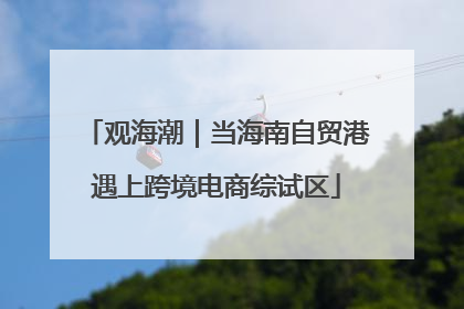 观海潮｜当海南自贸港遇上跨境电商综试区