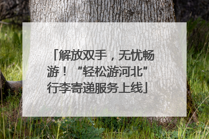 解放双手，无忧畅游！“轻松游河北”行李寄递服务上线