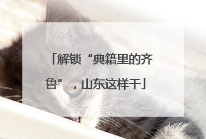 解锁“典籍里的齐鲁”，山东这样干
