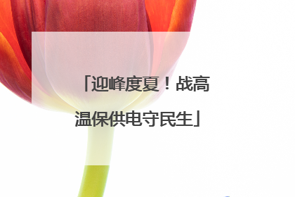 迎峰度夏！战高温保供电守民生