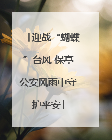 迎战“蝴蝶”台风 保亭公安风雨中守护平安