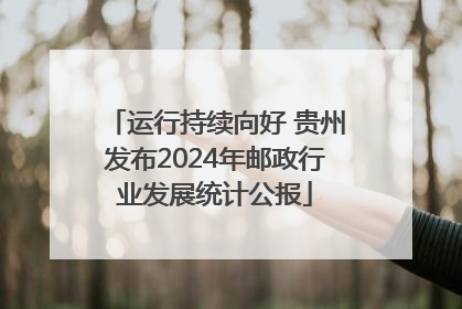 运行持续向好 贵州发布2024年邮政行业发展统计公报