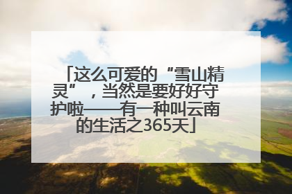 这么可爱的“雪山精灵”，当然是要好好守护啦——有一种叫云南的生活之365天