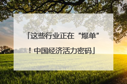 这些行业正在“爆单”！中国经济活力密码