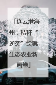 连云港海州：秸秆“逆袭”绘就生态农业新画卷