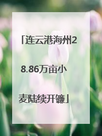 连云港海州28.86万亩小麦陆续开镰