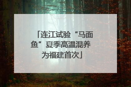 连江试验“马面鱼”夏季高温混养 为福建首次