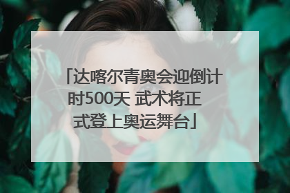 达喀尔青奥会迎倒计时500天 武术将正式登上奥运舞台