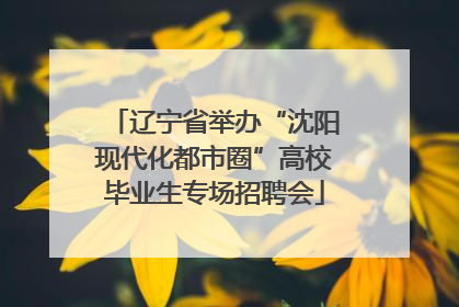 辽宁省举办“沈阳现代化都市圈”高校毕业生专场招聘会