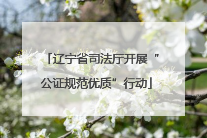 辽宁省司法厅开展“公证规范优质”行动