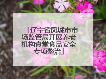 辽宁省凤城市市场监管局开展养老机构食堂食品安全专项整治
