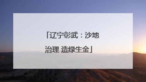 辽宁彰武：沙地治理 造绿生金