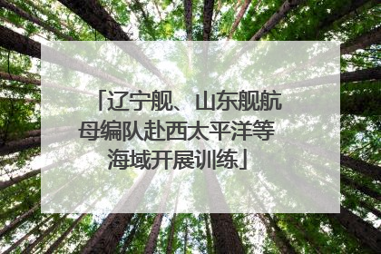 辽宁舰、山东舰航母编队赴西太平洋等海域开展训练