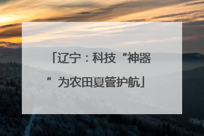 辽宁：科技“神器”为农田夏管护航