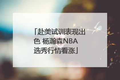 赴美试训表现出色 杨瀚森NBA选秀行情看涨