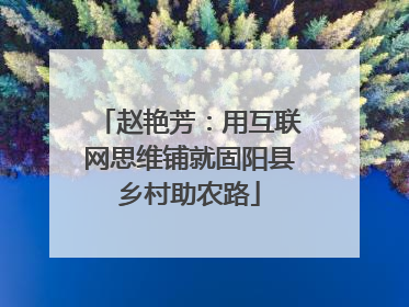 赵艳芳：用互联网思维铺就固阳县乡村助农路