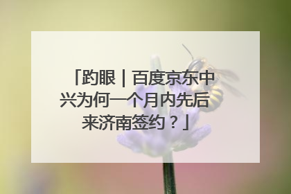 趵眼｜百度京东中兴为何一个月内先后来济南签约？