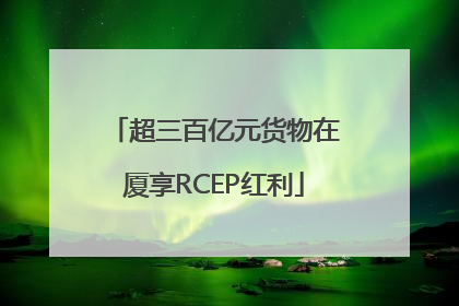 超三百亿元货物在厦享RCEP红利