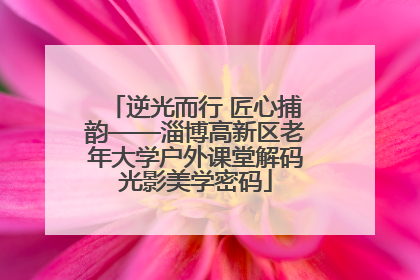 逆光而行 匠心捕韵——淄博高新区老年大学户外课堂解码光影美学密码