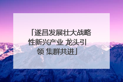 遂昌发展壮大战略性新兴产业 龙头引领 集群共进