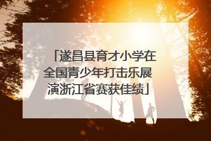 遂昌县育才小学在全国青少年打击乐展演浙江省赛获佳绩